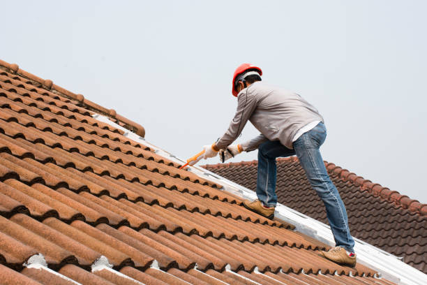 Best Storm Damage Roof Repair  in Curtisville, PA