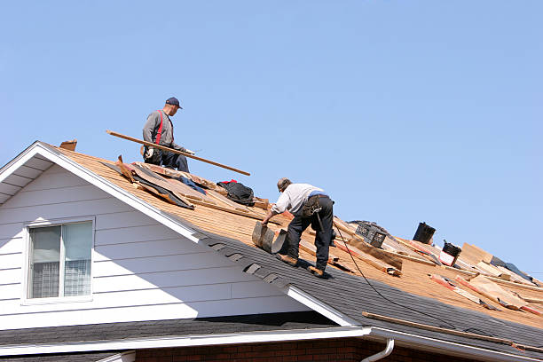 Best Roof Moss and Algae Removal  in Curtisville, PA